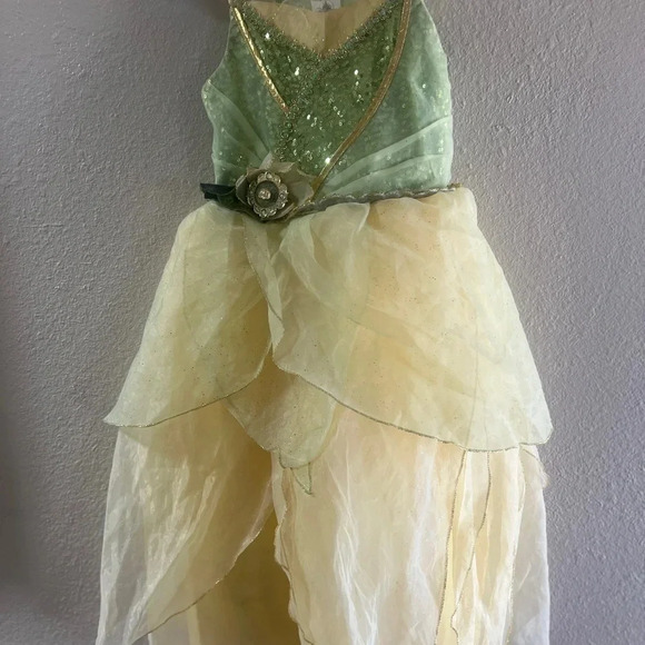 Disney Other - Princess Tiana Dress Up